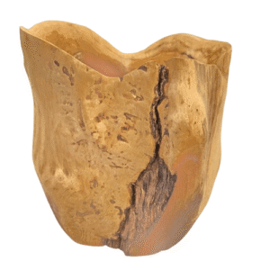 Vaso Tronco em Madeira Cachepot G